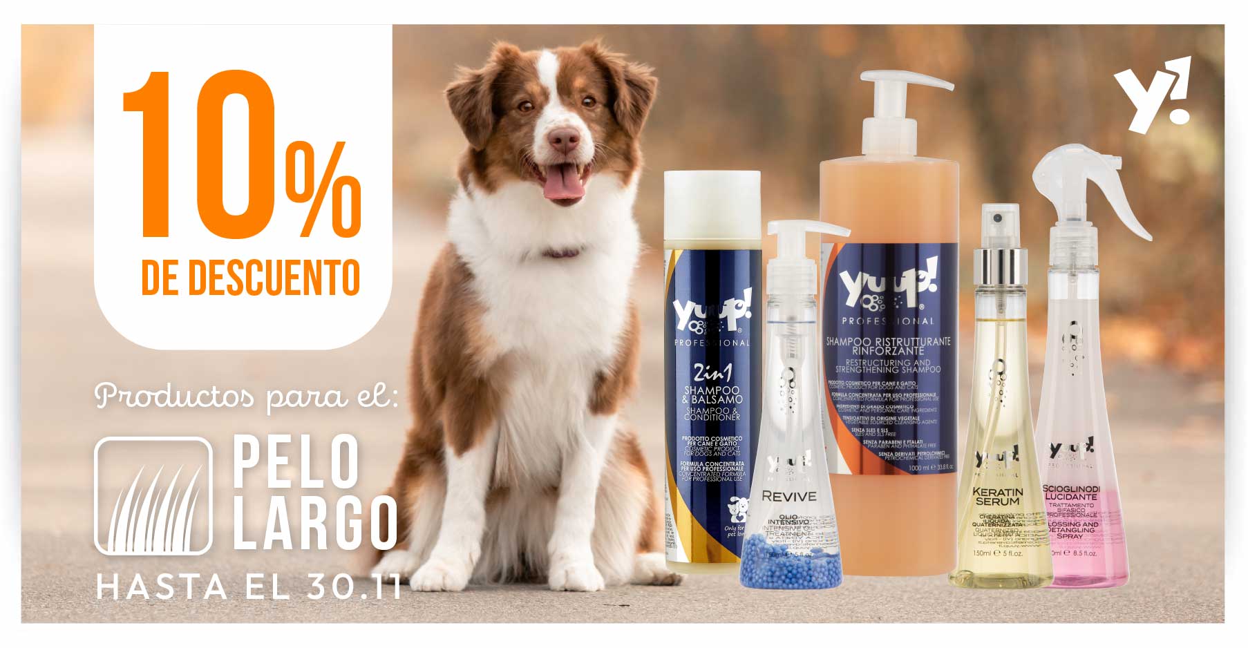 10% su categoria Liscio Perfetto + Kit Spazzolatura PRO